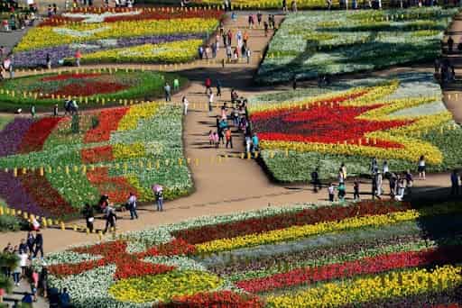 Lễ hội hoa Floriade – Canberra