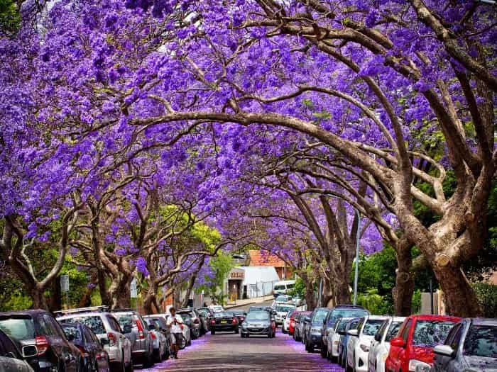 Kirribilli