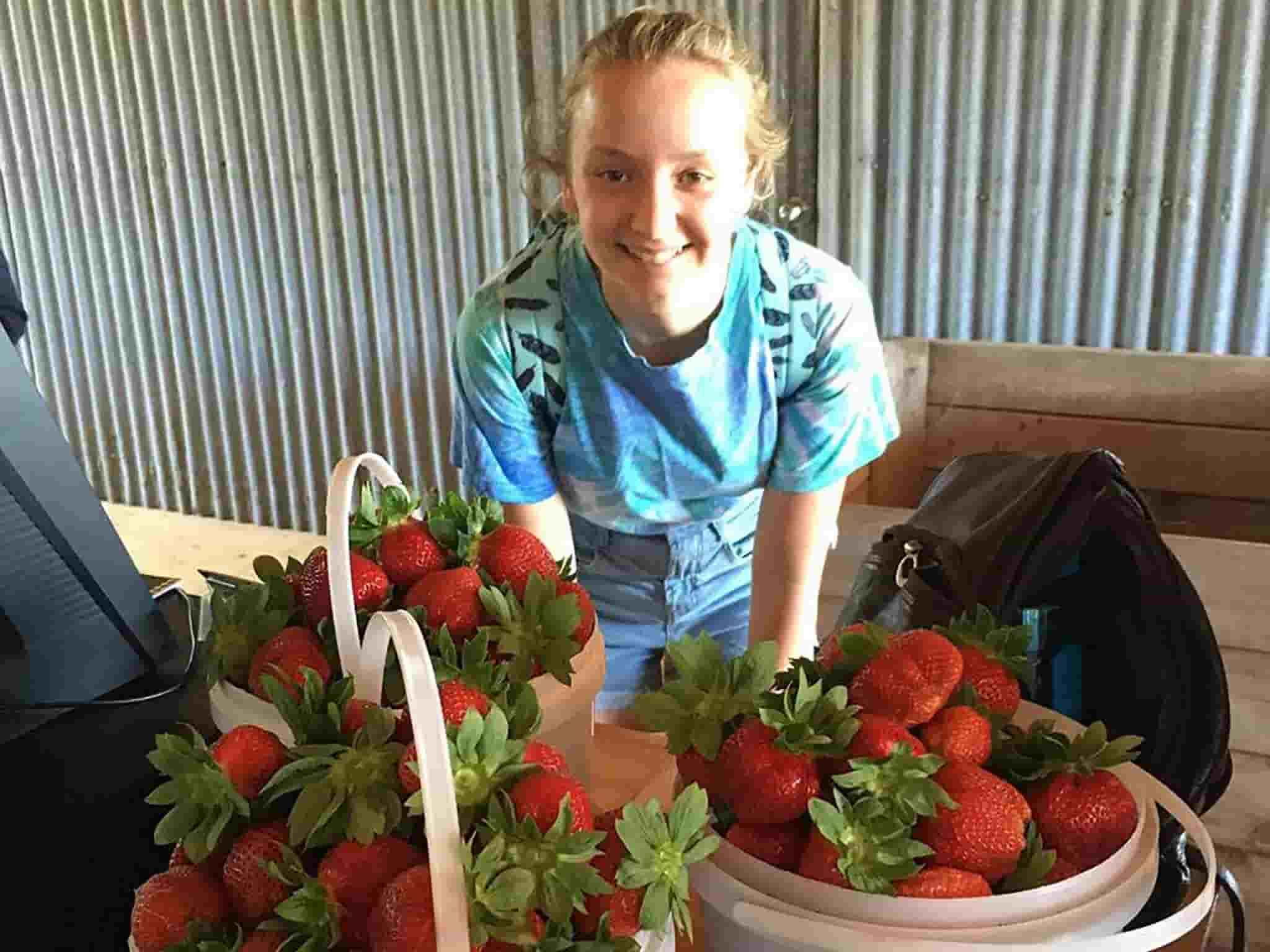 Beechworth Berries