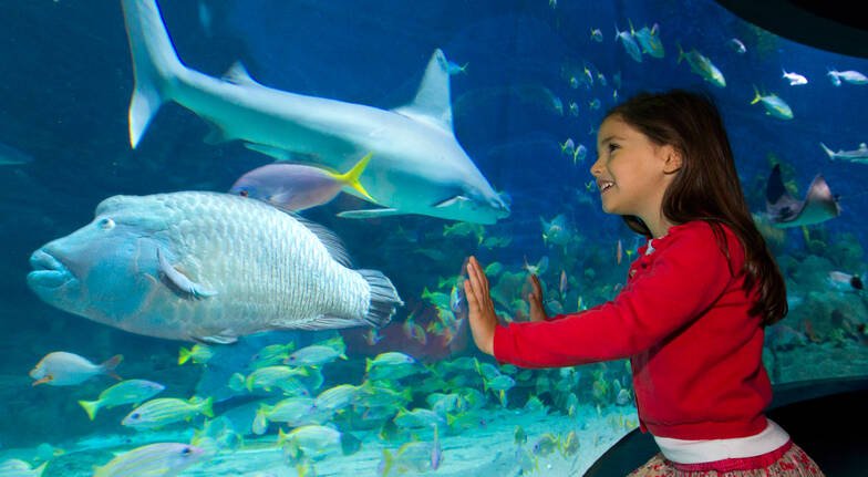 SEA LIFE Melbourne Aquarium