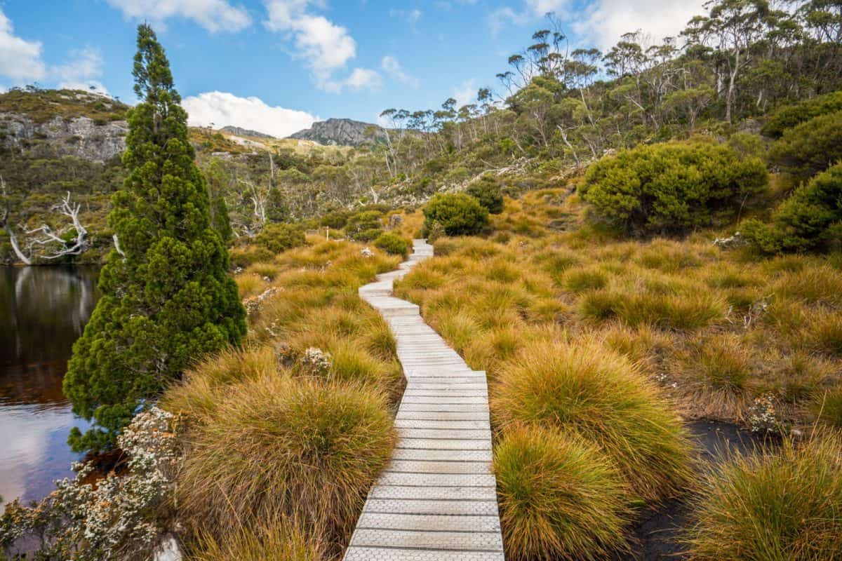 Vườn Bách thảo Hoàng gia Tasmania