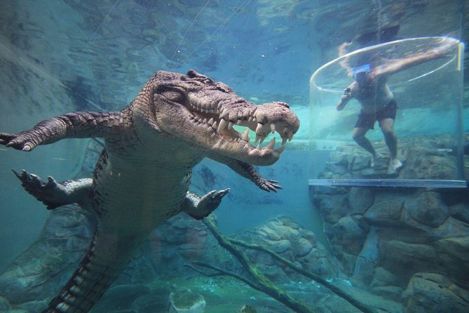 Công viên giải trí Crocosaurus Cove