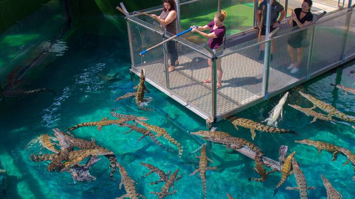 Công viên giải trí Crocosaurus Cove