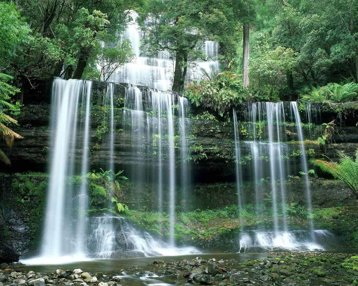 Công viên quốc gia Mount Field